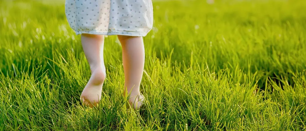 Libelulla - Mentaltraining für Kinder